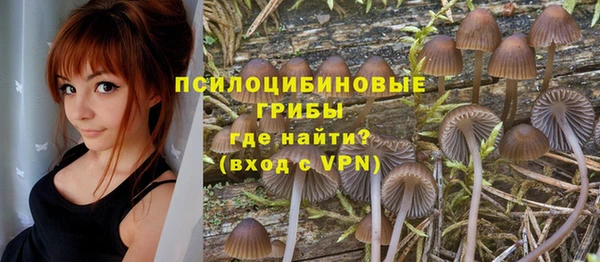а пвп мука Верхний Тагил