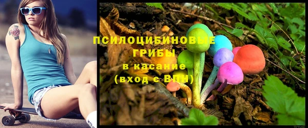 таблы Бородино