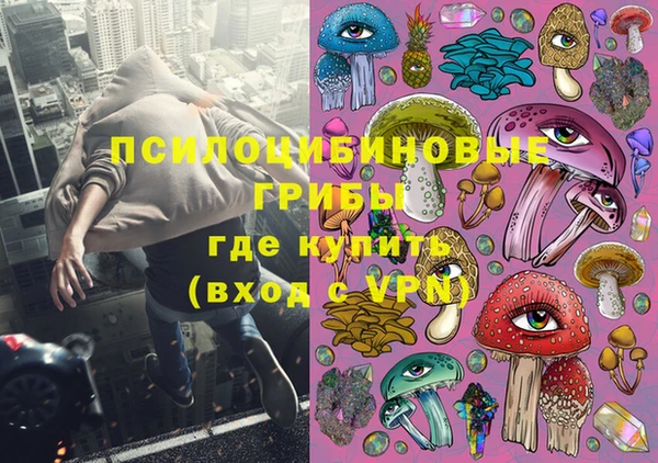 таблы Бородино